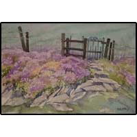 Rain on Heather